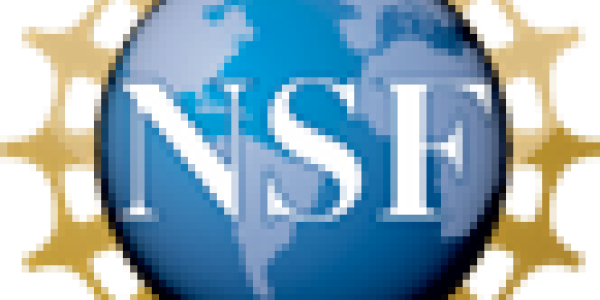 NSF Logo