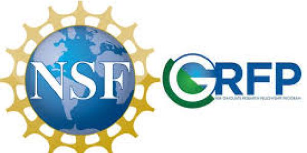NSF Logo
