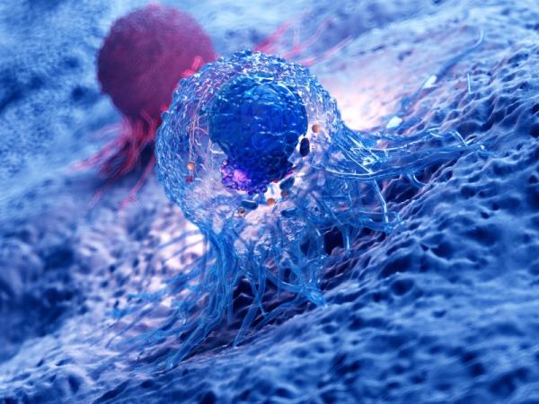 A 3D-rendered illustration of the anatomy of a cancer cell. Image: © Sebastian Kaulitzki /Stock.adobe.com